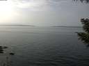 ./images/koeye/fitz-hugh/20200915/fitz-hugh20200915_134501.jpg