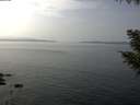 ./images/koeye/fitz-hugh/20200915/fitz-hugh20200915_135501.jpg