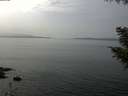 ./images/koeye/fitz-hugh/20200915/fitz-hugh20200915_141502.jpg