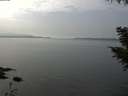 ./images/koeye/fitz-hugh/20200915/fitz-hugh20200915_142502.jpg