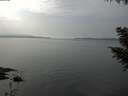 ./images/koeye/fitz-hugh/20200915/fitz-hugh20200915_143502.jpg