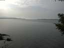 ./images/koeye/fitz-hugh/20200915/fitz-hugh20200915_144002.jpg