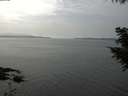 ./images/koeye/fitz-hugh/20200915/fitz-hugh20200915_144502.jpg