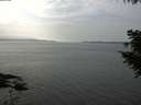 ./images/koeye/fitz-hugh/20200915/fitz-hugh20200915_145002.jpg