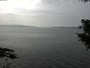 ./images/koeye/fitz-hugh/20200915/fitz-hugh20200915_145502.jpg