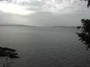 ./images/koeye/fitz-hugh/20200915/fitz-hugh20200915_151001.jpg