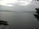 ./images/koeye/fitz-hugh/20200915/fitz-hugh20200915_152001.jpg