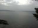 ./images/koeye/fitz-hugh/20200915/fitz-hugh20200915_152501.jpg