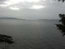./images/koeye/fitz-hugh/20200915/fitz-hugh20200915_153501.jpg