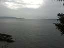 ./images/koeye/fitz-hugh/20200915/fitz-hugh20200915_154001.jpg