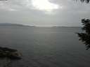 ./images/koeye/fitz-hugh/20200915/fitz-hugh20200915_155001.jpg
