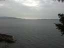 ./images/koeye/fitz-hugh/20200915/fitz-hugh20200915_155501.jpg