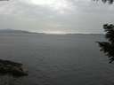 ./images/koeye/fitz-hugh/20200915/fitz-hugh20200915_160001.jpg