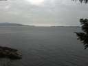 ./images/koeye/fitz-hugh/20200915/fitz-hugh20200915_160501.jpg