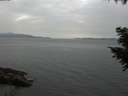 ./images/koeye/fitz-hugh/20200915/fitz-hugh20200915_161501.jpg