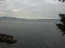 ./images/koeye/fitz-hugh/20200915/fitz-hugh20200915_162001.jpg