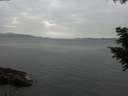 ./images/koeye/fitz-hugh/20200915/fitz-hugh20200915_162501.jpg