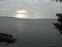 ./images/koeye/fitz-hugh/20200915/fitz-hugh20200915_163501.jpg