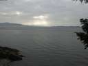 ./images/koeye/fitz-hugh/20200915/fitz-hugh20200915_164001.jpg