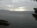 ./images/koeye/fitz-hugh/20200915/fitz-hugh20200915_164501.jpg