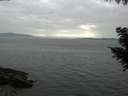 ./images/koeye/fitz-hugh/20200915/fitz-hugh20200915_165001.jpg