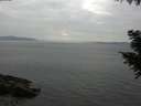 ./images/koeye/fitz-hugh/20200915/fitz-hugh20200915_170502.jpg