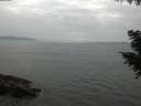 ./images/koeye/fitz-hugh/20200915/fitz-hugh20200915_171502.jpg