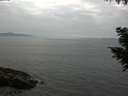 ./images/koeye/fitz-hugh/20200915/fitz-hugh20200915_172002.jpg