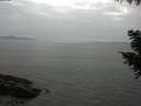 ./images/koeye/fitz-hugh/20200915/fitz-hugh20200915_172502.jpg