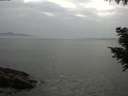 ./images/koeye/fitz-hugh/20200915/fitz-hugh20200915_173502.jpg