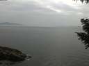 ./images/koeye/fitz-hugh/20200915/fitz-hugh20200915_174502.jpg