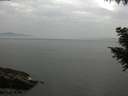 ./images/koeye/fitz-hugh/20200915/fitz-hugh20200915_175002.jpg