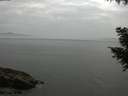 ./images/koeye/fitz-hugh/20200915/fitz-hugh20200915_175502.jpg