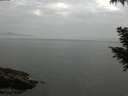 ./images/koeye/fitz-hugh/20200915/fitz-hugh20200915_180002.jpg