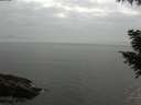 ./images/koeye/fitz-hugh/20200915/fitz-hugh20200915_180502.jpg