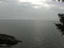 ./images/koeye/fitz-hugh/20200915/fitz-hugh20200915_181002.jpg