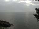 ./images/koeye/fitz-hugh/20200915/fitz-hugh20200915_181501.jpg