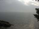 ./images/koeye/fitz-hugh/20200915/fitz-hugh20200915_184501.jpg