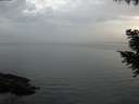 ./images/koeye/fitz-hugh/20200915/fitz-hugh20200915_200501.jpg