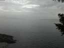 ./images/koeye/fitz-hugh/20200915/fitz-hugh20200915_202002.jpg