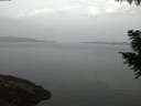 ./images/koeye/fitz-hugh/20200916/fitz-hugh20200916_063501.jpg