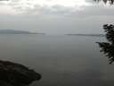 ./images/koeye/fitz-hugh/20200916/fitz-hugh20200916_065501.jpg