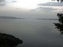 ./images/koeye/fitz-hugh/20200916/fitz-hugh20200916_073501.jpg