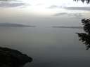 ./images/koeye/fitz-hugh/20200916/fitz-hugh20200916_074001.jpg