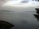 ./images/koeye/fitz-hugh/20200916/fitz-hugh20200916_075001.jpg