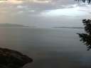 ./images/koeye/fitz-hugh/20200916/fitz-hugh20200916_080002.jpg