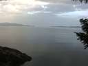 ./images/koeye/fitz-hugh/20200916/fitz-hugh20200916_080501.jpg