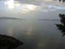 ./images/koeye/fitz-hugh/20200916/fitz-hugh20200916_081502.jpg