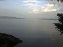 ./images/koeye/fitz-hugh/20200916/fitz-hugh20200916_082502.jpg