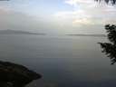 ./images/koeye/fitz-hugh/20200916/fitz-hugh20200916_083502.jpg